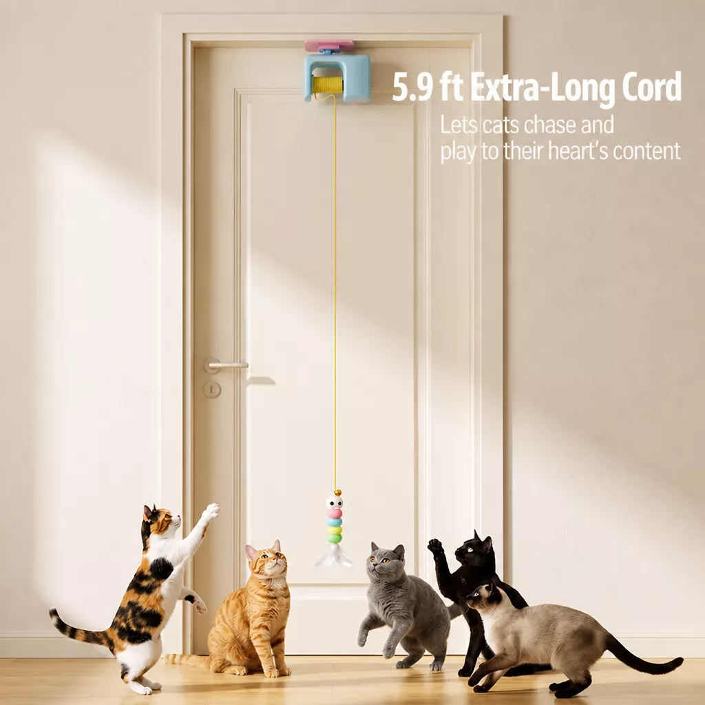 Automatic Hanging Cat Yo-Yo Toy