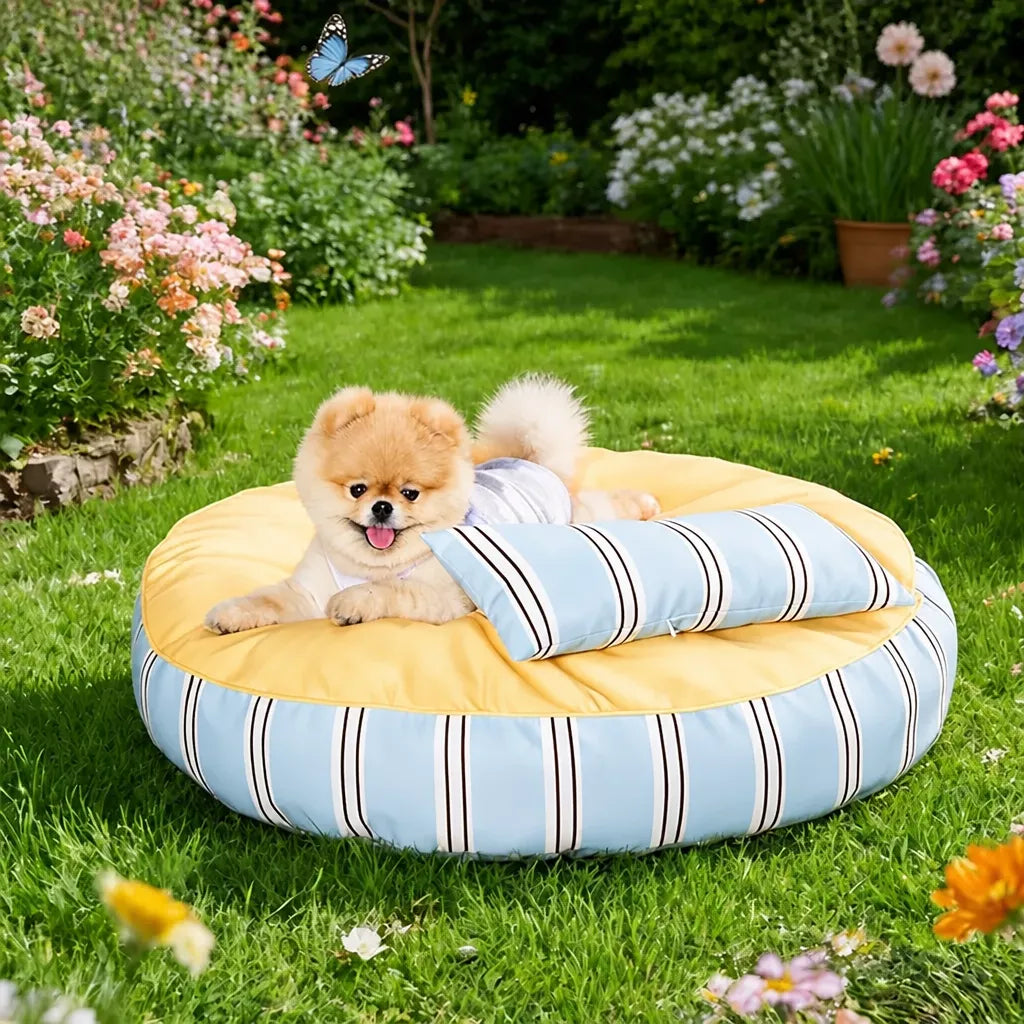 Removable Washable Pet Bed for Cats and Small to Medium Dogs