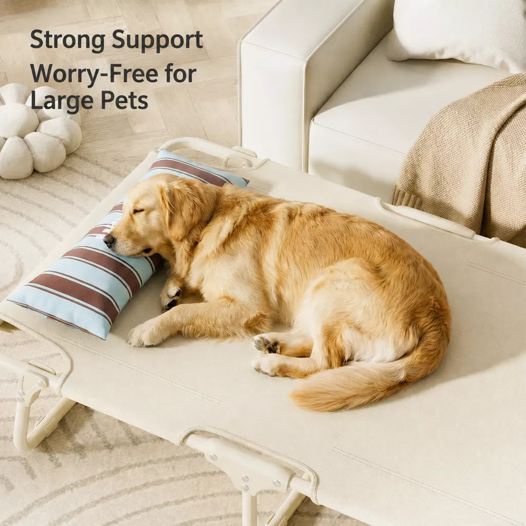 Elevated Waterproof Dog Bed