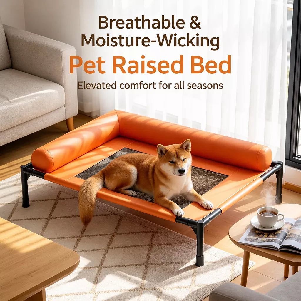 Raised Cot-Style Pet Bed for Small to Medium Dogs and Cats
