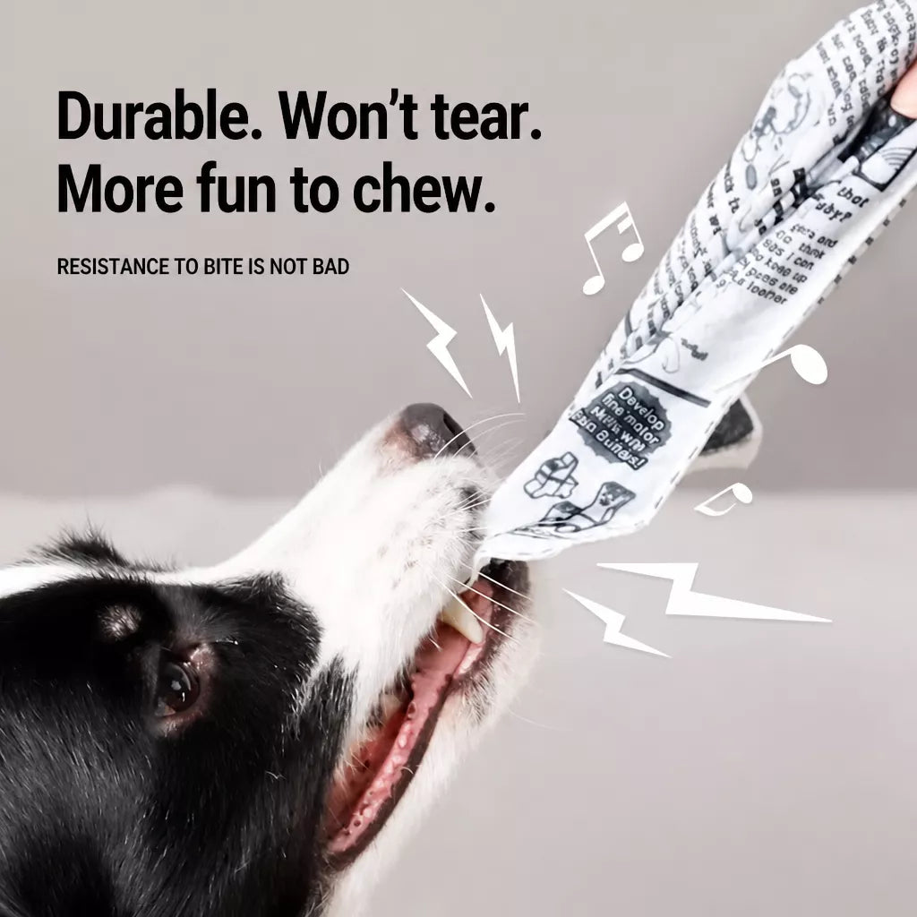 Squeaky Crinkle Dog Toy – Newspaper-Inspired Interactive Toy