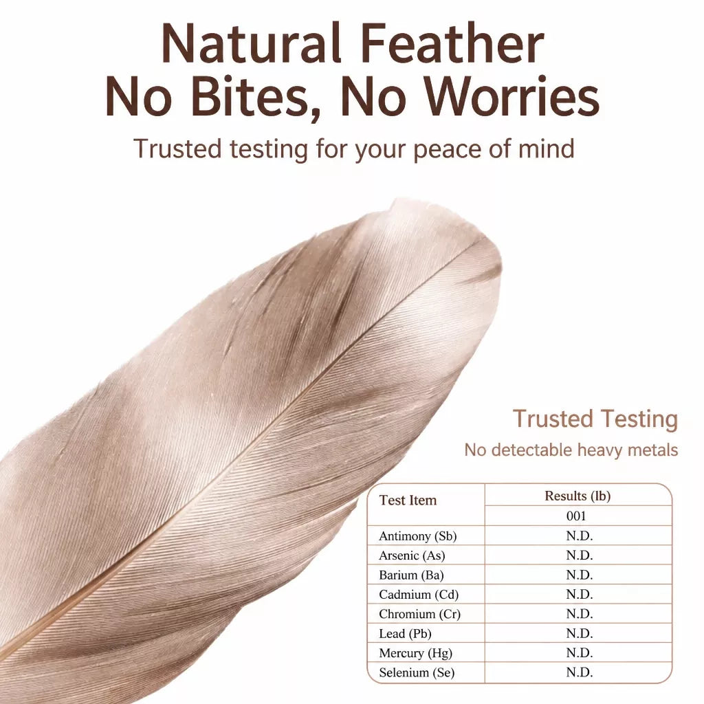 Cat Teaser Wand with Feather Attachments