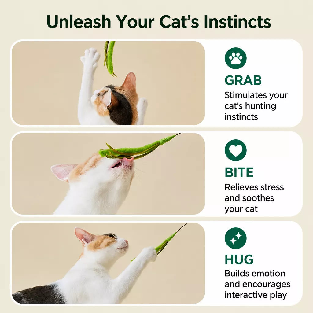 Foxtail Cat Teaser Wand Toy
