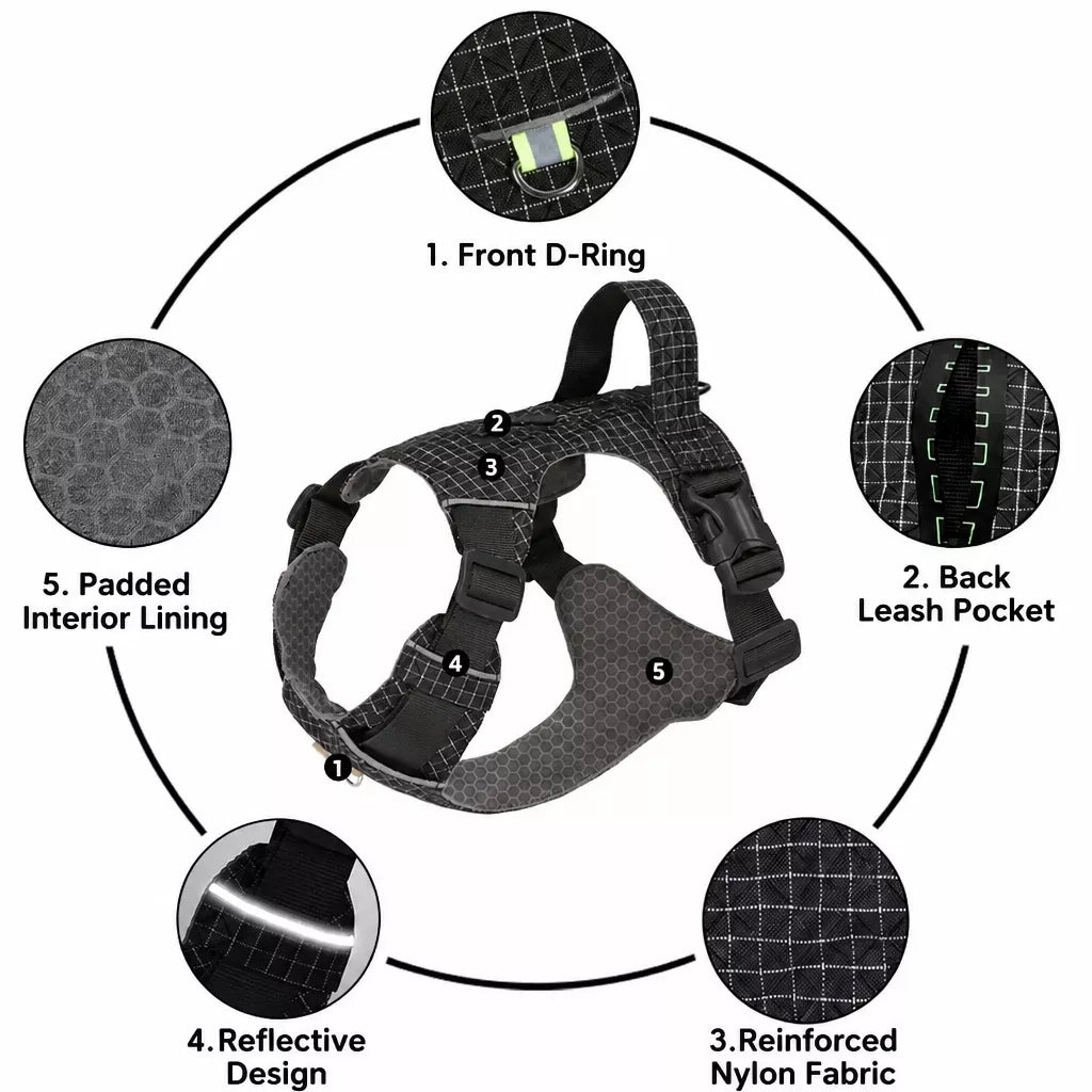 Adjustable Nylon Vest-Style Dog Harness and Leash Set