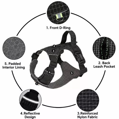 Adjustable Nylon Vest-Style Dog Harness and Leash Set