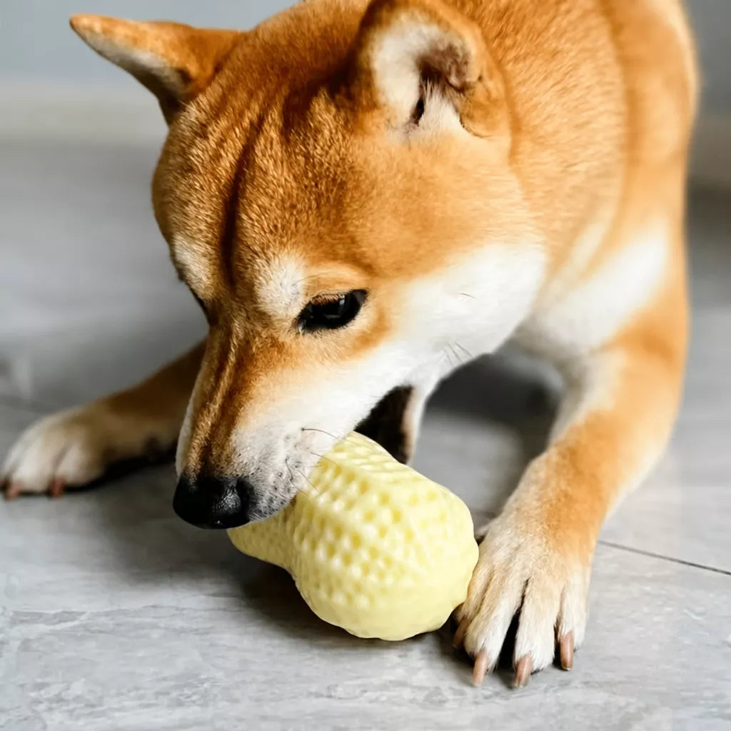Peanut-Shaped Squeaky Dog Toy