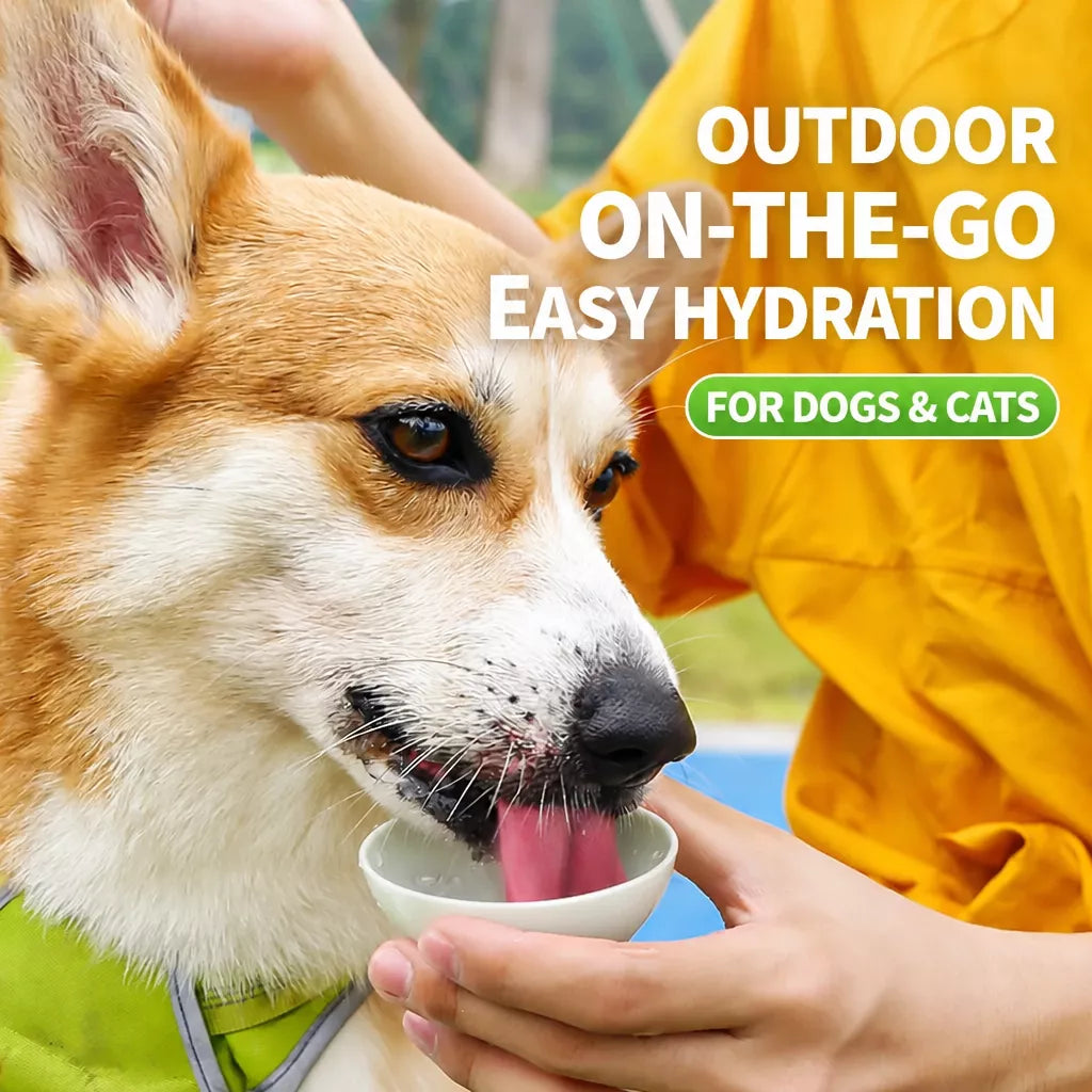Portable Pet Water Bottle for Dogs and Cats