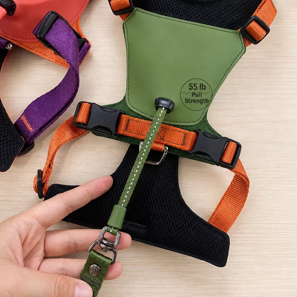 Nylon Dog Harness and Leash Set