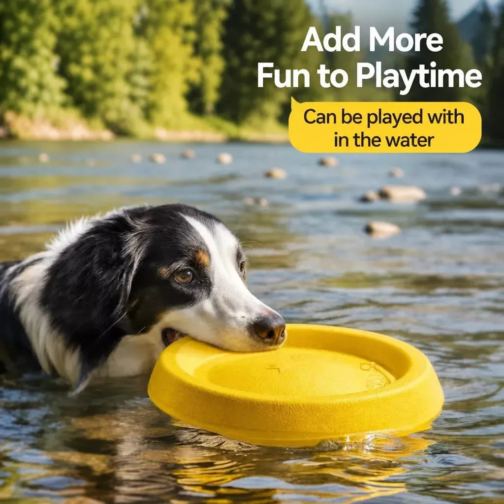 Interactive Dog Toy with Flying Disc, Tug Ring & Floating Ball
