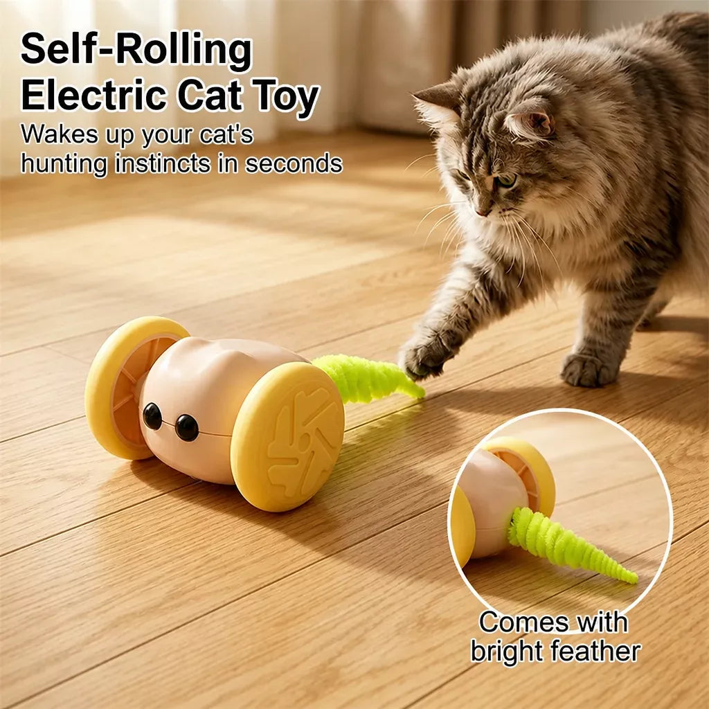 Rechargeable Interactive Cat Toy – Mouse & Car Designs