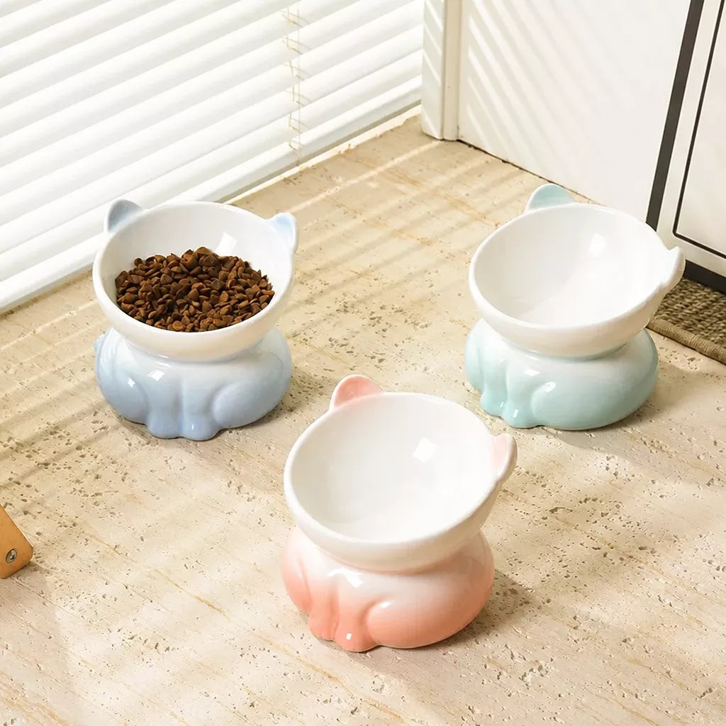 Elevated Ceramic Cat Food Bowl
