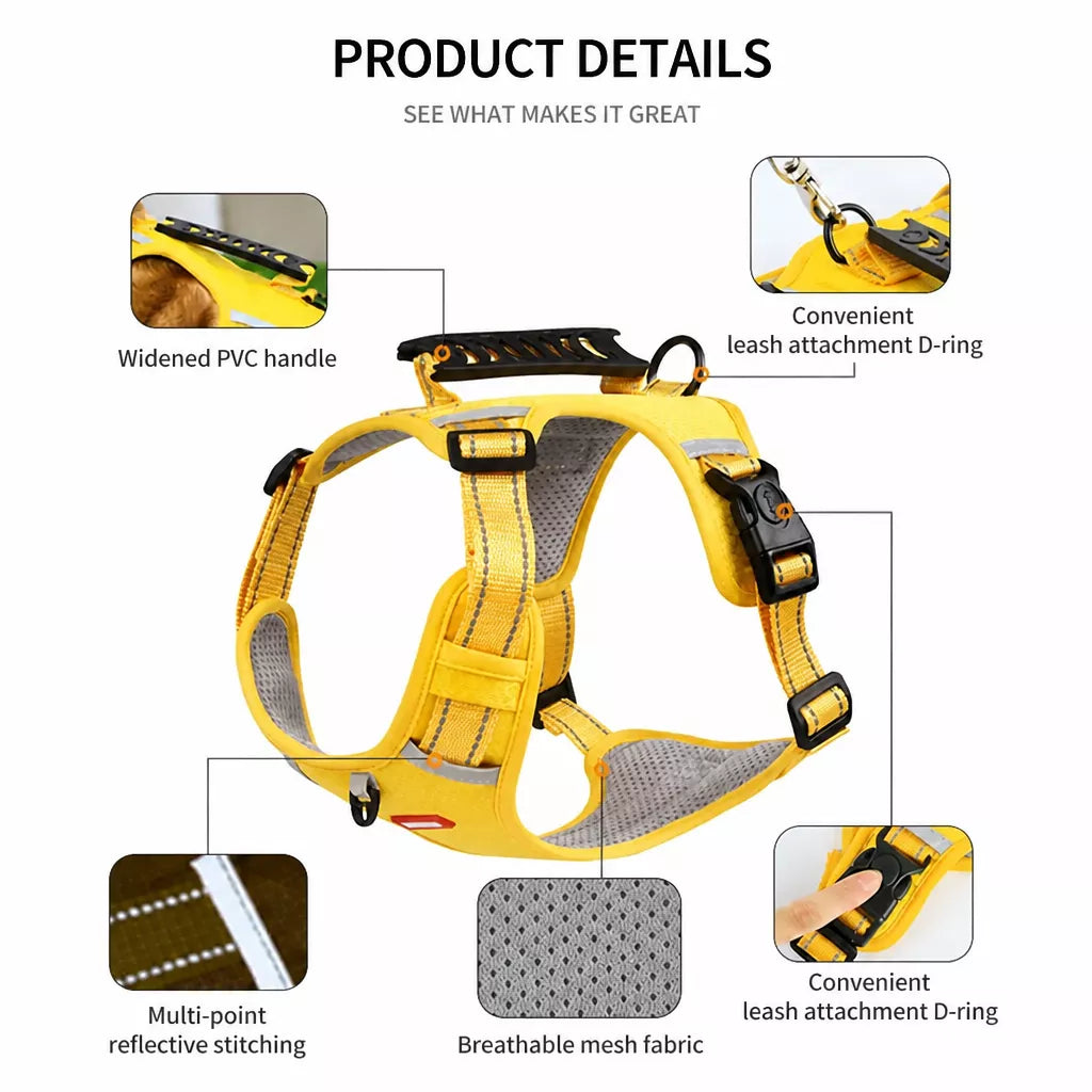 Dog Vest Harness and Leash for Everyday Walks