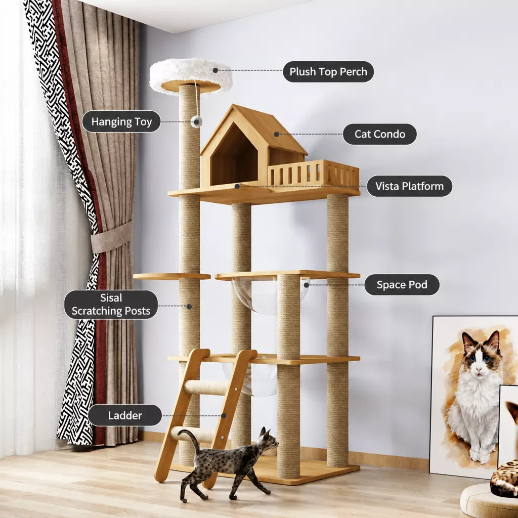 Cat Tree with Enclosed Cat House and Scratching Posts