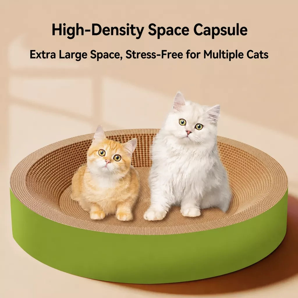 Cat Scratcher Bed with Integrated Lounger