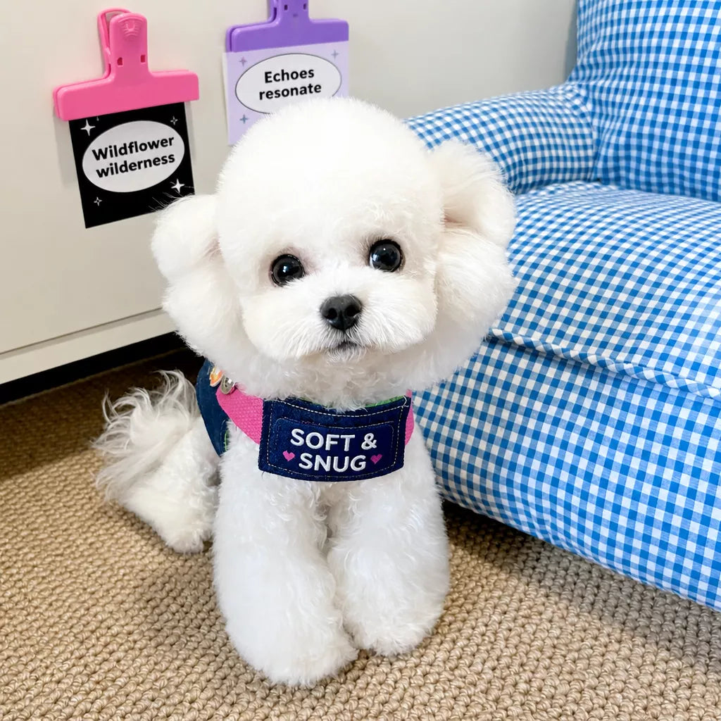 Nylon Pet Harness with Optional Leash