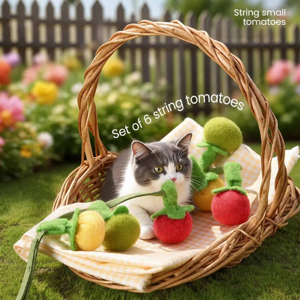 Felt Fruit String Cat Toy with Bell