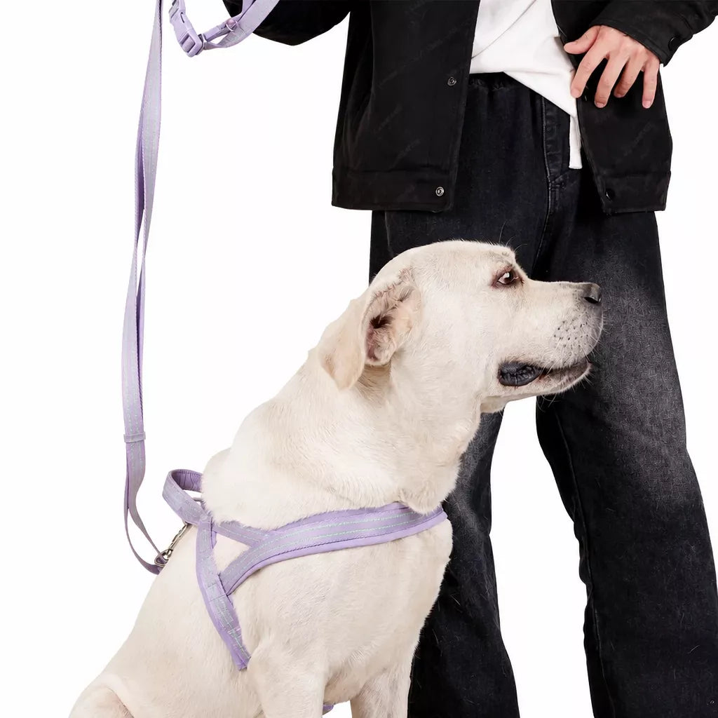 Nylon Dog Harness with Collar and Leash Set Options