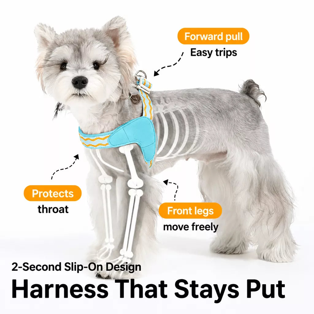 Y-Shaped Dog Harness and Leash for Small to Medium Dogs