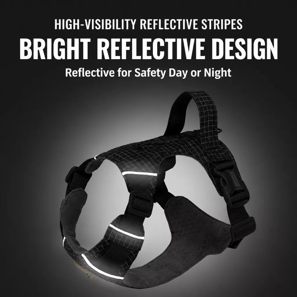 Adjustable Nylon Vest-Style Dog Harness and Leash Set