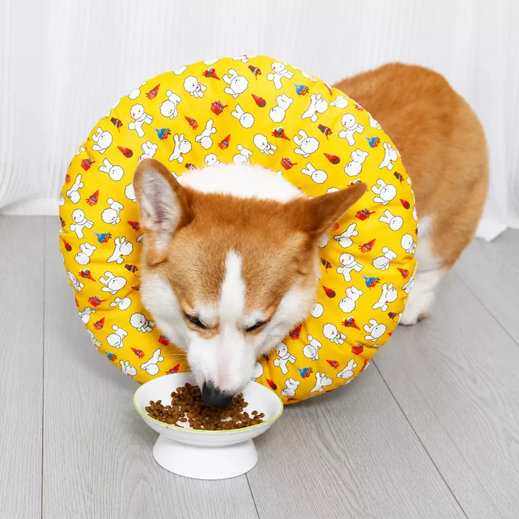 Soft Waterproof Pet Recovery Collar