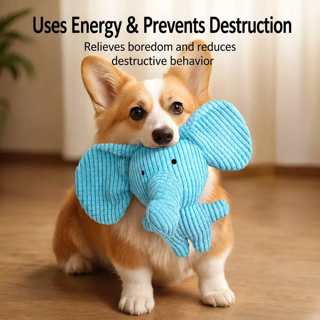 Squeaky Dog Toys with Balls, Rope Toys and Flying Discs