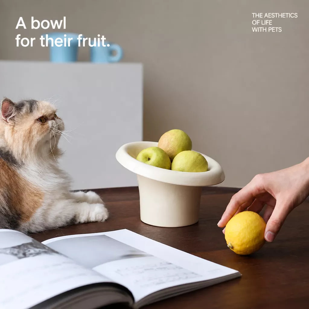 Fafa Ceramic Pet Bowl