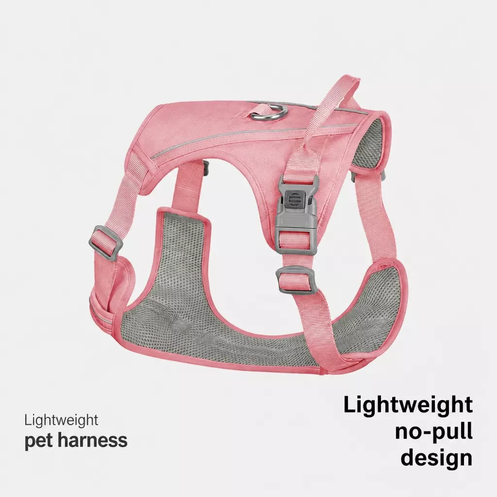Lightweight Nylon Dog Harness and Leash Set