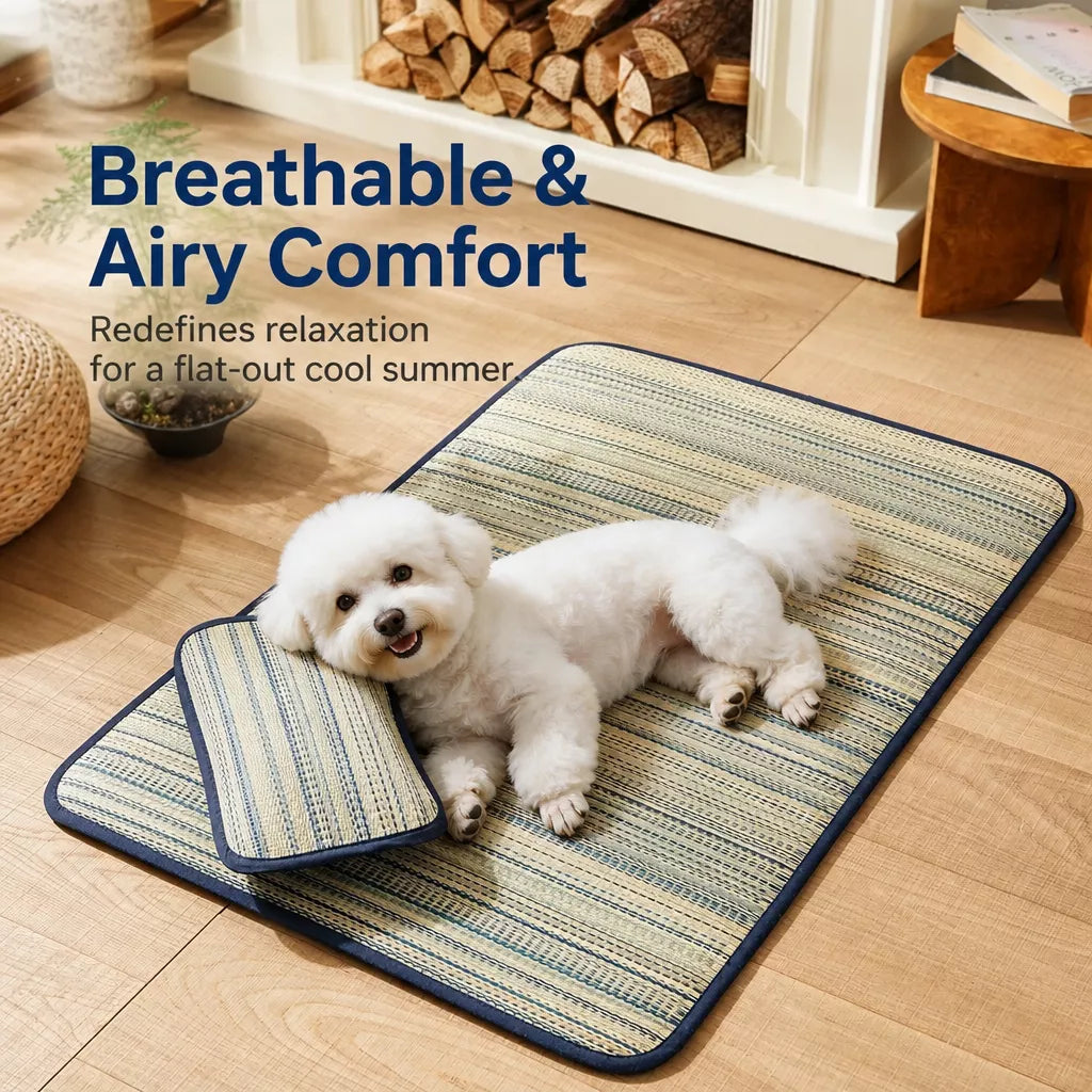 Silicone Pet Bed Mat