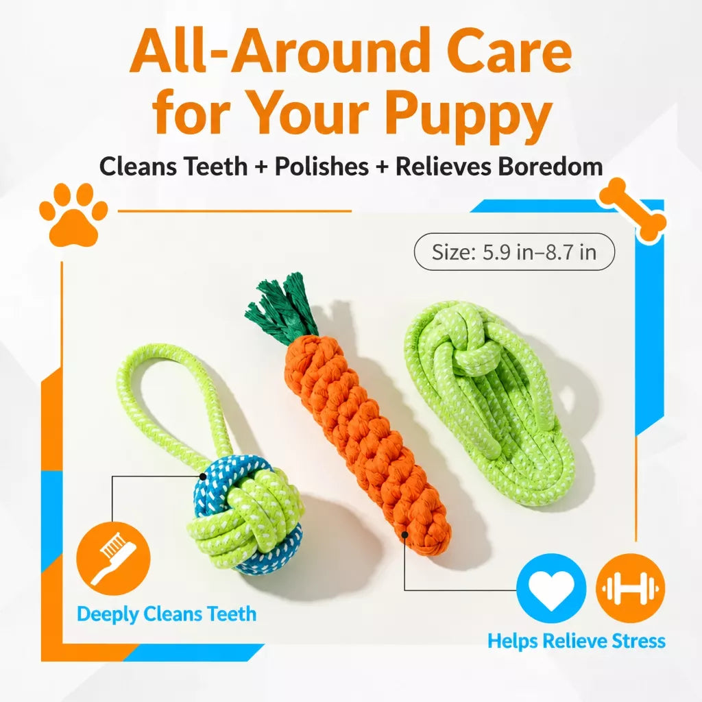 Interactive Dog Toys for Small to Medium Dogs – Tug & Squeaky
