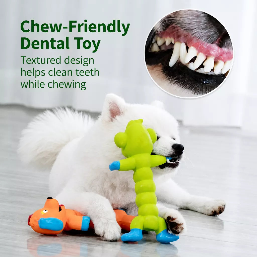 Latex Squeaky Dog Toy for Small and Medium Dogs