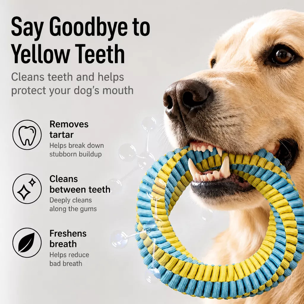 Knotted Nylon Dog Rope Tug Toy for Interactive Play