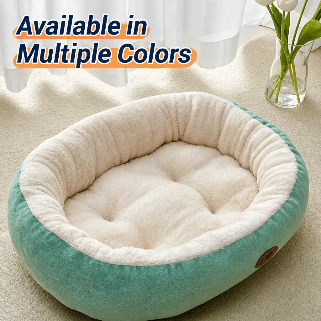 Removable and Washable Pet Bed for Dogs and Cats