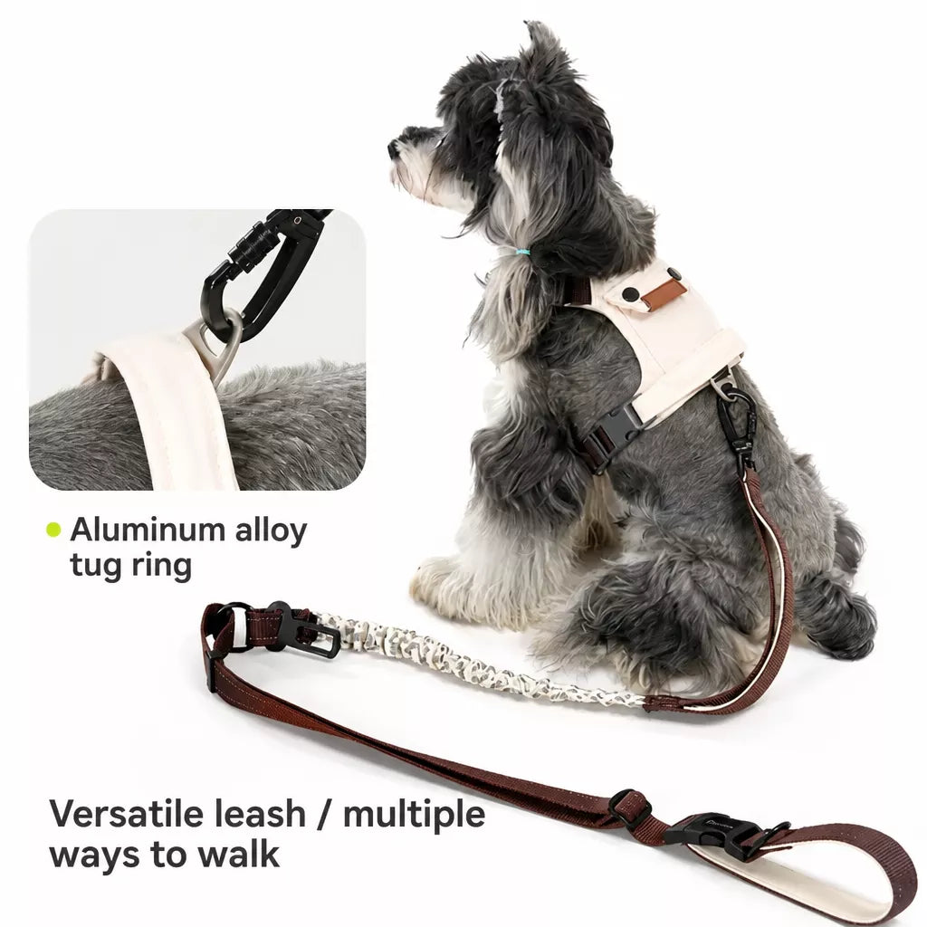 Adjustable Vest-Style Dog Harness with Leash for Walks