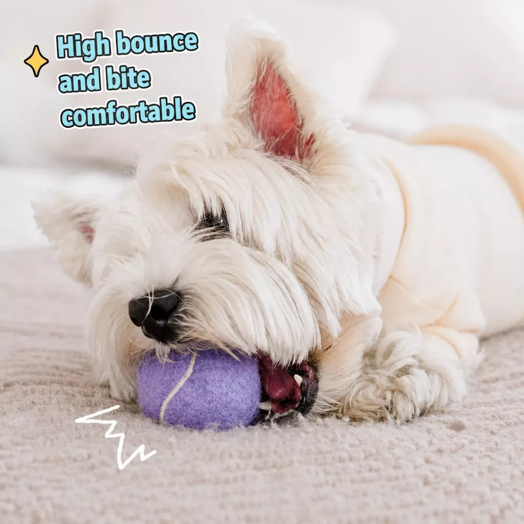 Ice Cream-Style Interactive Dog Ball with Storage Box