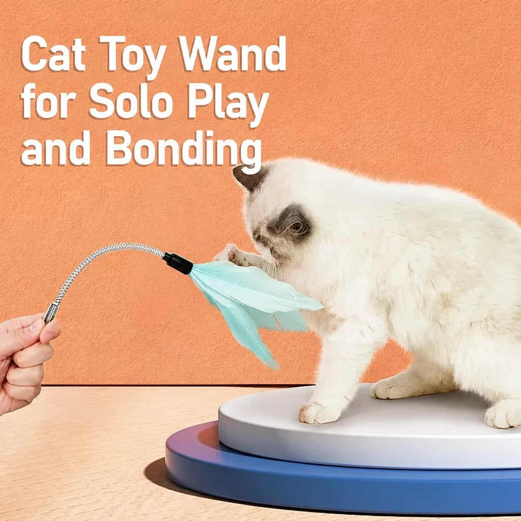 Cat Turntable Toy with Feather Wand and Colorful Balls