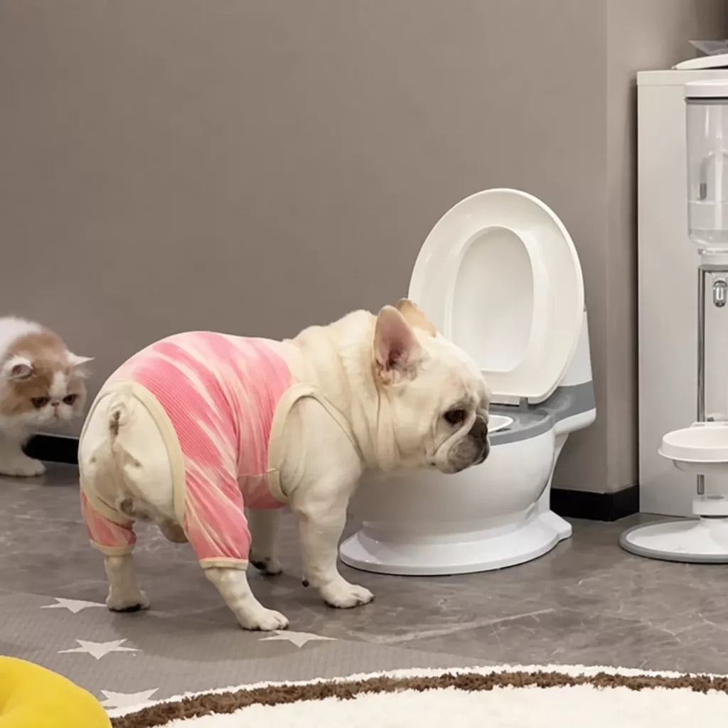 Toilet-Shaped Pet Water Bowl with Wide Opening