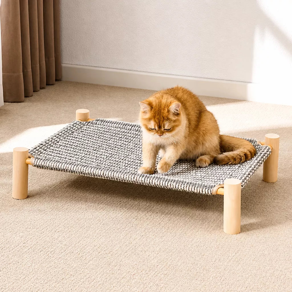 Cot-Style Pet Bed with Scratching Surface