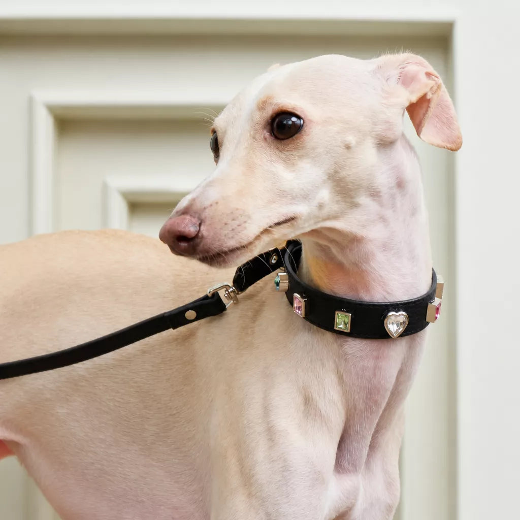 Rhinestone Faux Leather Collar and Leash for Small Pets
