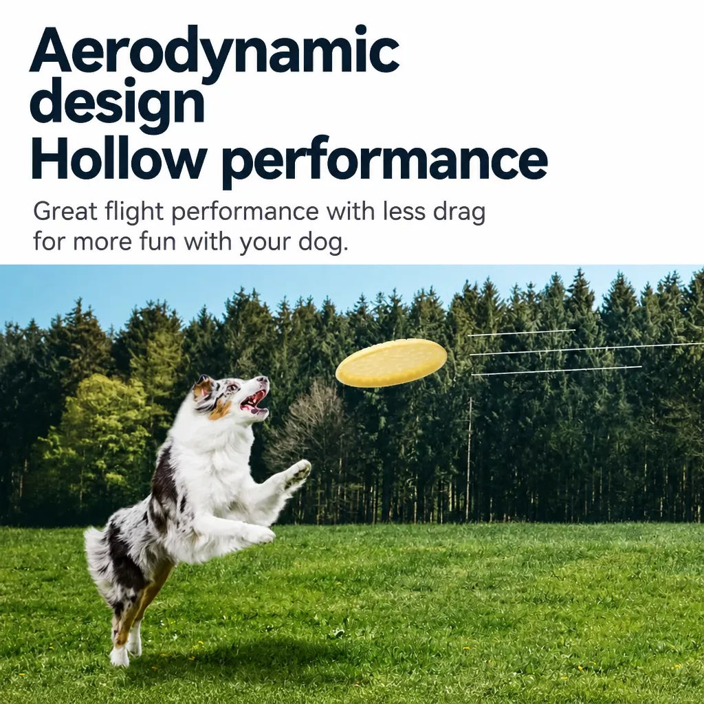 Soft Resin Dog Frisbee for Outdoor Fetch and Training