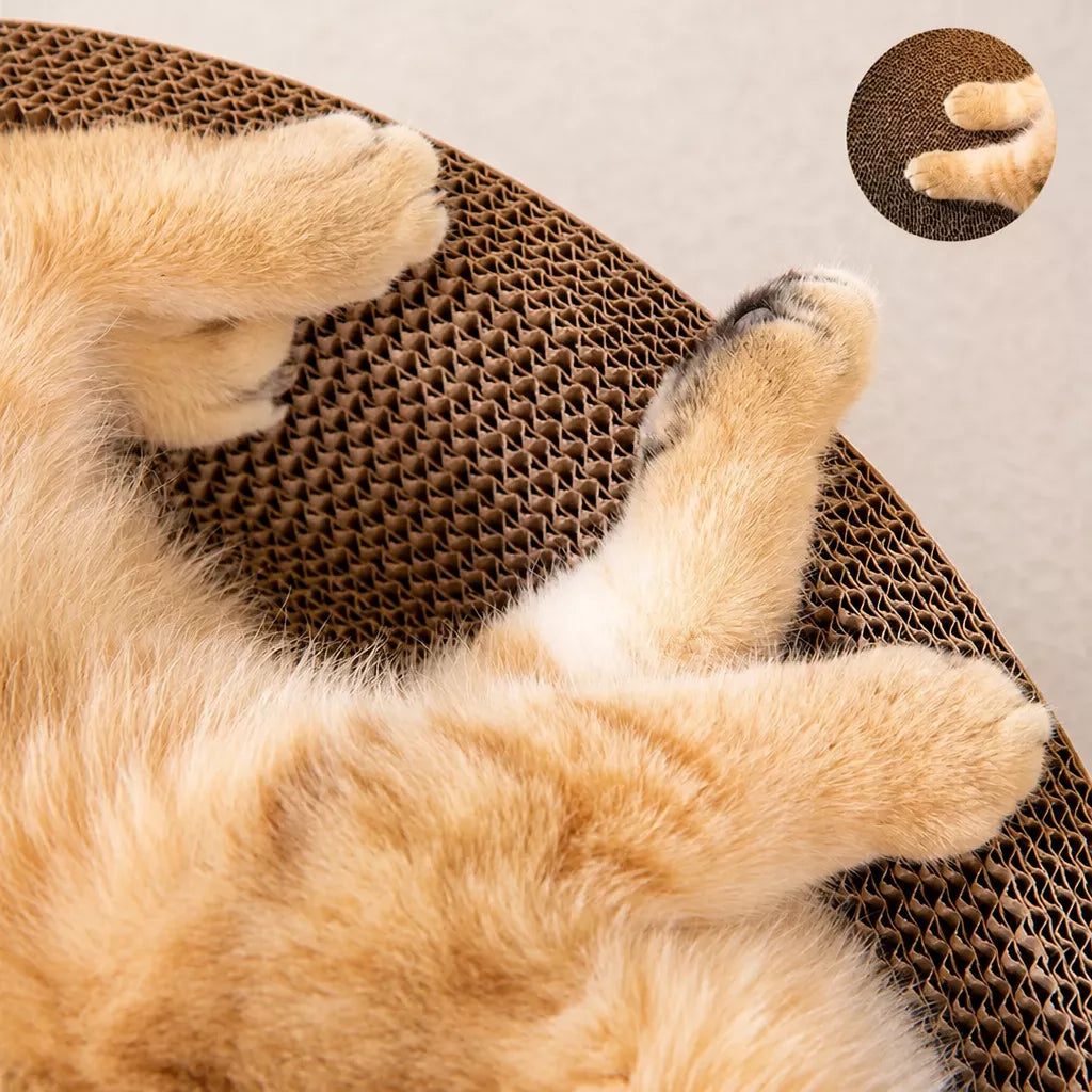 Corrugated Cardboard Cat Scratcher Lounge