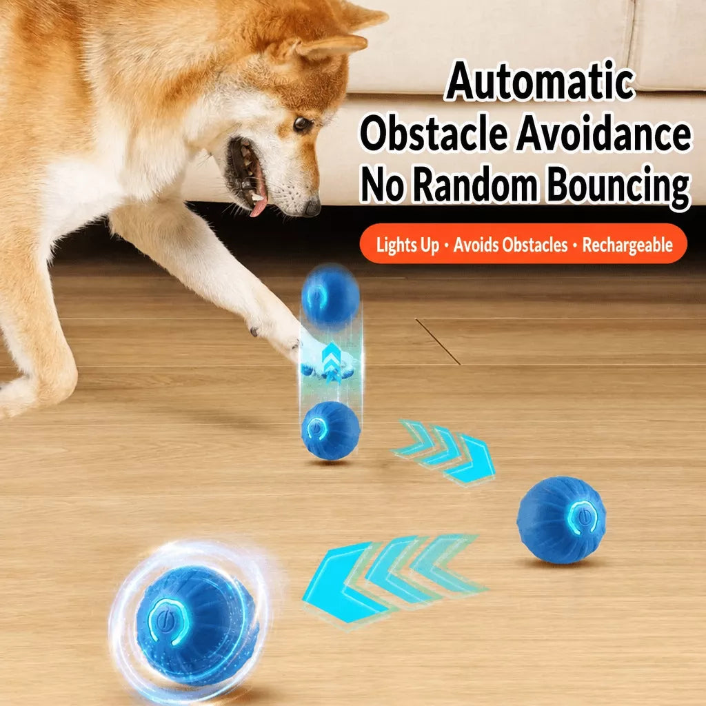 Interactive Electric Squeaky Bouncing Ball Toy for Dogs