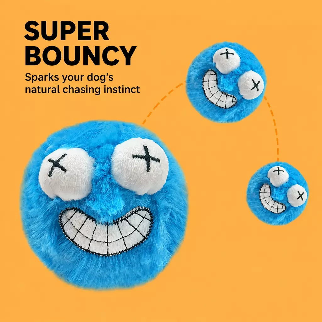 Plush Squeaky Ball Dog Toy