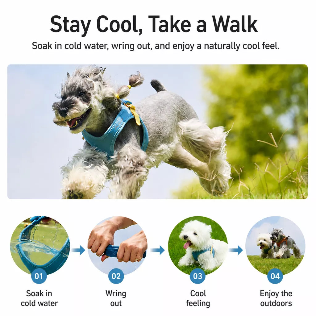 Adjustable Nylon Vest Harness for Small Dogs