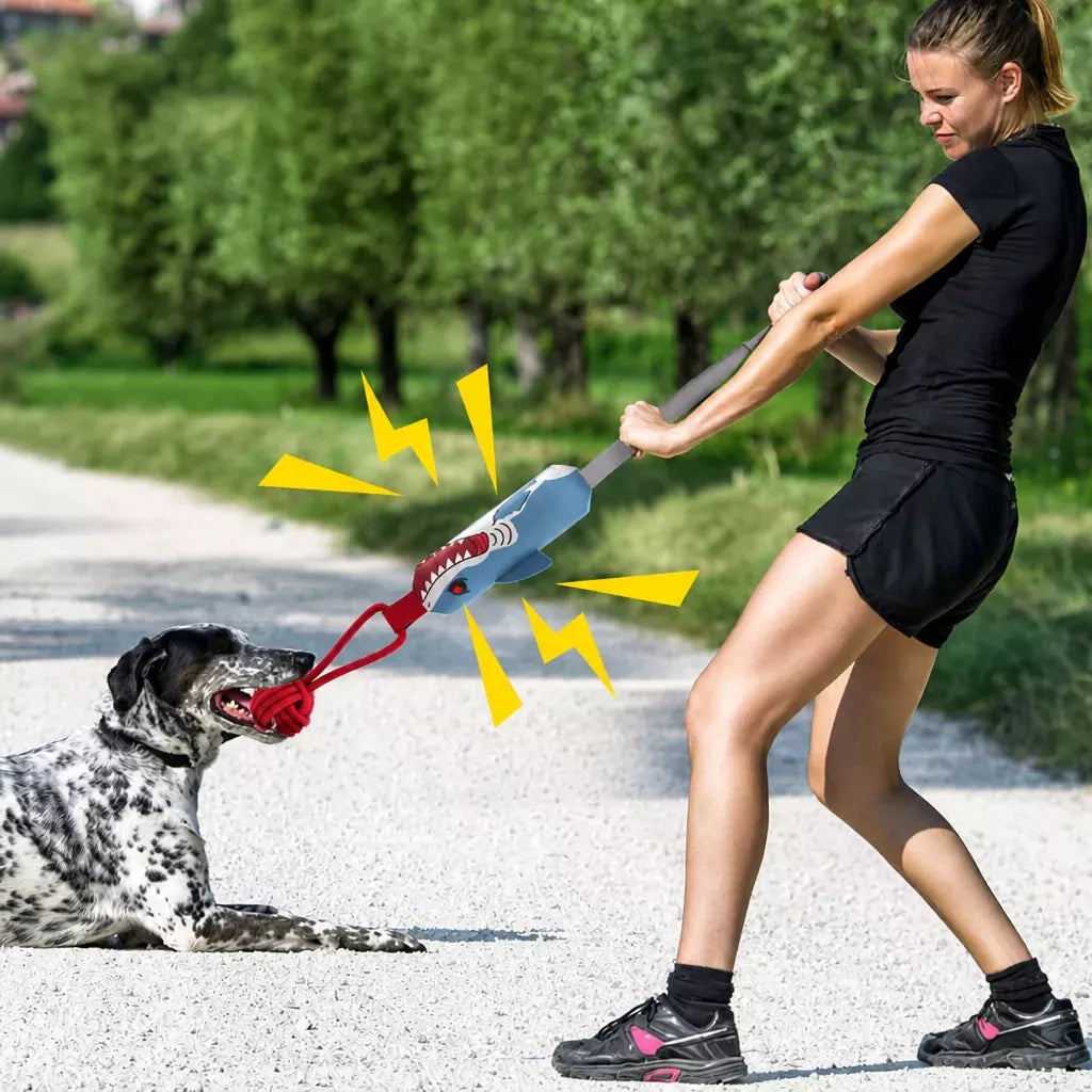 Interactive Dog Tug Toy Collection with Suction Cup