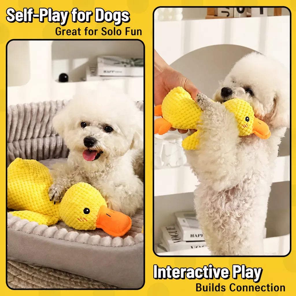 Plush Squeaky Dog Toy