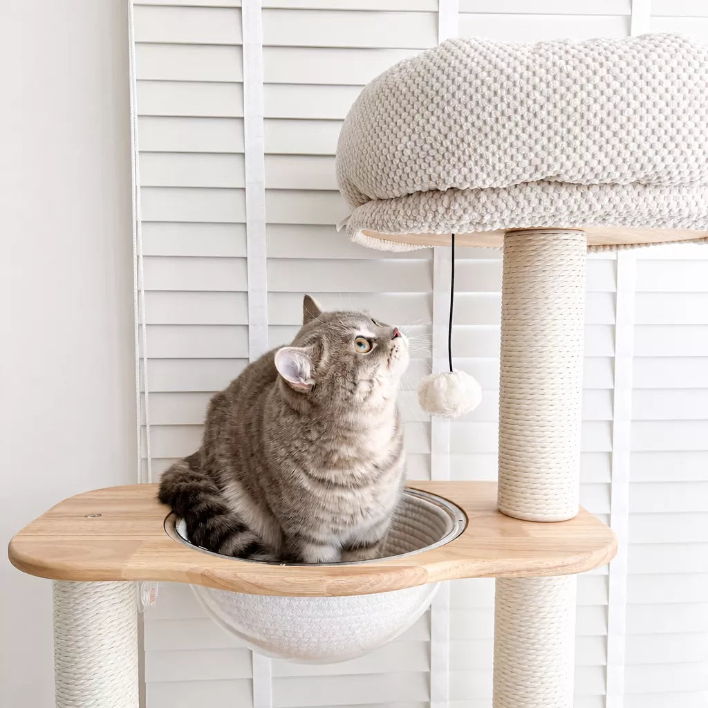 Wooden Cat Tree with Enclosed Hideaway and Removable Washable Parts