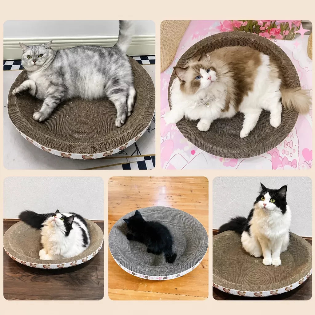 Corrugated Paper Cat Scratcher Bed – Round or Oval