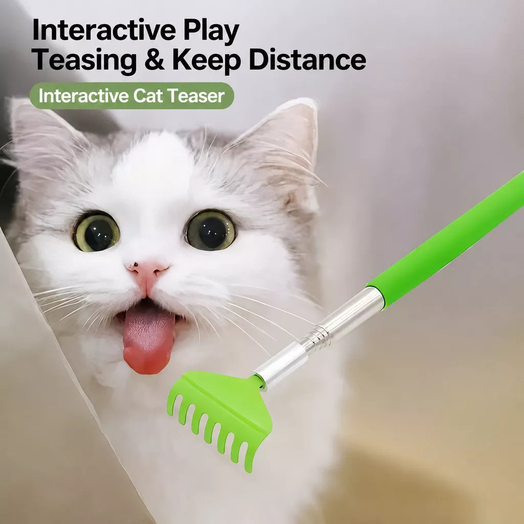 Extendable Pet Scratcher Wand