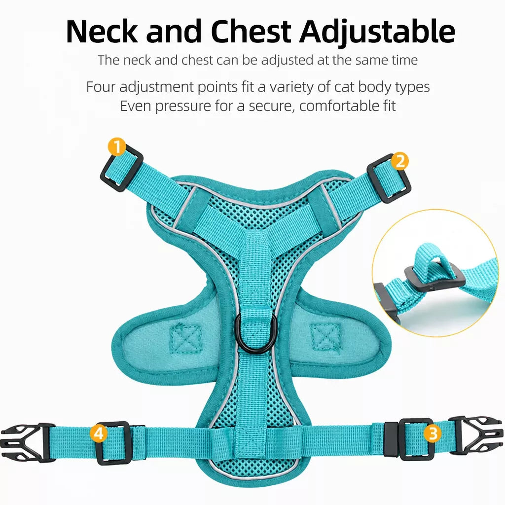 Cat Harness and Leash