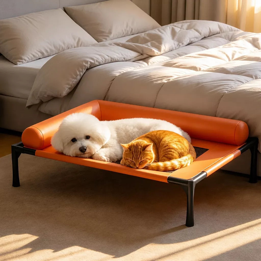 Raised Cot-Style Pet Bed for Small to Medium Dogs and Cats
